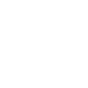 Logo Liftinstituut